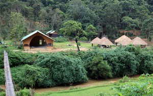 Cần cương quyết xử lý vi phạm về đất đai, xây dựng tại Măng Đen