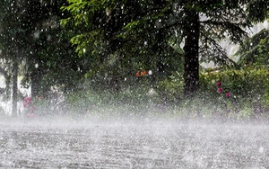 Khu vực Tây Bắc, Việt Bắc có mưa to và dông