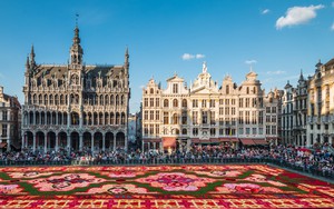 Thảm Hoa Brussels 2024 - kiệt tác sống động giữa lòng châu Âu