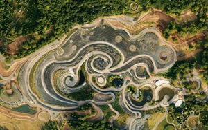 Bức tranh "Đêm đầy sao" của Van Gogh được tái hiện thành công viên trên đồi Bosnia