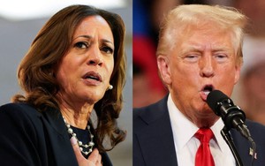 Bầu cử Mỹ 2024: Bà Harris dẫn trước ông Trump 