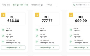 Đấu giá biển số xe "ngũ quý 8" đạt kỷ lục 15,2 tỷ đồng