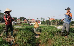 Cuộc sống sau ống kính: Lại gặp chiếc gầu tát nước