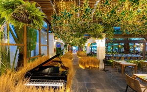 "Thu vàng trong vườn phố": Cánh đồng lúa chín đặc biệt ở giữa Hà Nội mùa Trung thu