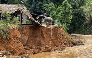 Mưa lớn gây ngập úng, sạt lở, Lào Cai di dời người dân đến nơi an toàn