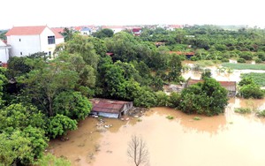 Nhìn lại những cơn bão mạnh đổ bộ vào Việt Nam những năm gần đây