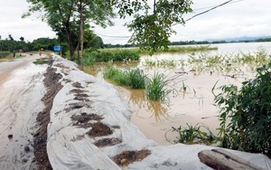 Nhiều đoạn đê xung yếu của Hà Nội được đắp cao ngăn lũ dữ