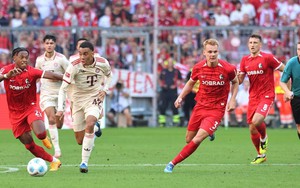 Nhận định, soi tỷ lệ Holstein Kiel vs Bayern Munich (23h30, 14/9), vòng 3 Bundesliga