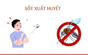 Phòng chống bệnh do muỗi truyền
