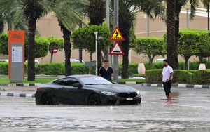 Chống biến đổi khí hậu là vấn đề cấp bách toàn cầu