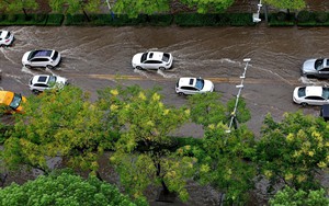 Trung Quốc: Hàng trăm nghìn người ở Thượng Hải sơ tán do lo ngại ảnh hưởng của bão Pulasan