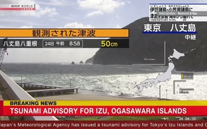 Sóng thần tại khu vực quần đảo phía Nam thủ đô Nhật Bản