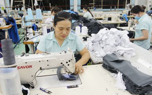 Nhận định mới nhất của ADB về triển vọng kinh tế Việt Nam trong năm 2024 và 2025