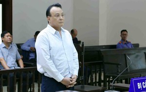 Chủ tịch Tập đoàn Tân Hoàng Minh Đỗ Anh Dũng xin giảm nhẹ hình phạt