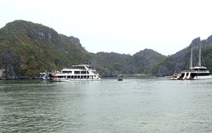 Cát Bà, Đồ Sơn sẵn sàng đón khách du lịch