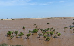 Triển khai hiệu quả các hoạt động thích ứng với biến đổi khí hậu