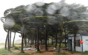 Trung Quốc: Siêu bão Yagi đổ bộ lần thứ hai, gần 1 triệu người di dời 