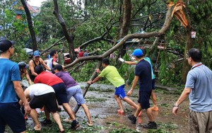 Khắc phục hậu quả bão số 3: Người dân đoàn kết sớm trở lại nhịp sống thường ngày