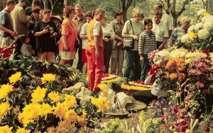 Cuộc sống sau ống kính: Bâng khuâng quán hoa Hải Phòng