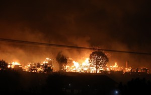 Cháy rừng ở Mỹ: Thiệt hại ước tính gần 150 tỷ USD