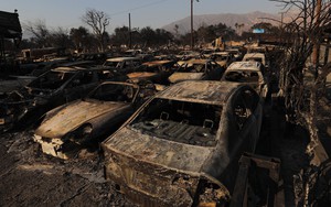 Cháy rừng tại Mỹ: Lực lượng cứu hỏa chạy đua với thời gian ngăn lửa lan rộng