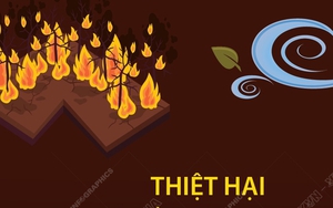 Ít nhất 24 người thiệt mạng do cháy rừng tại Mỹ