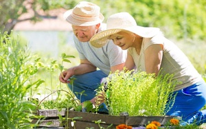 Khoảng cách giữa thời gian sống khỏe và tuổi thọ ngày càng nới rộng