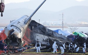 Tai nạn máy bay tại Hàn Quốc: Tìm thấy lông chim và máu trong động cơ máy bay