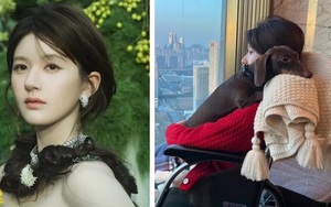 Triệu Lộ Tư tiết lộ nhiều chi tiết gây sốc về bạo hành trong cập nhật mới nhất