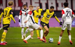 Nhận định, soi tỷ lệ Bologna vs Dortmund 03h00 ngày 22/1, cúp C1 châu Âu