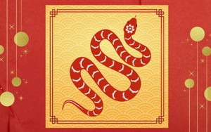 Tử vi Ất Tỵ 2025 của 12 con giáp: Tý vận tài chính có nhiều chuyển biến tích cực