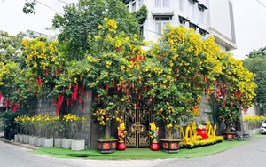 Sao Việt tất bật trang hoàng nhà cửa đón Tết nguyên đán