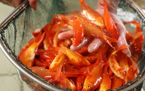 Cá chép cúng ông Công, ông Táo đắt hàng, được giá