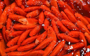 Chợ cá Yên Sở nhộn nhịp ngày ông Công, ông Táo