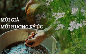 Ngày tết niên, nấu nồi nước mùi già, hương bay phảng phất khắp nhà... thấy Tết đến thật rồi! 