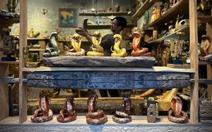 Chiêm ngưỡng đàn rắn độc, lạ của họa sĩ Nguyễn Tấn Phát