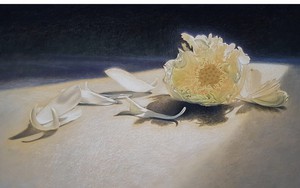 Ngắm chồi non cựa mình, vẻ đẹp nguyên sinh và rực rỡ sau cuối của hoa lá tĩnh vật trong tranh phấn màu