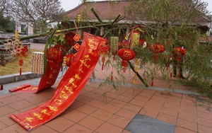 Tại sao cây nêu lại được dựng lên trong những ngày tết? 