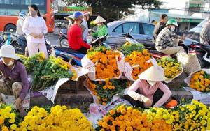 Có gì ở chợ tết miền Tây - Nơi giao thoa văn hóa và hương vị ngày xuân 