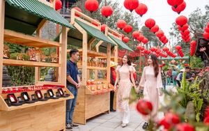 Sun World Ba Na Hills hứa hẹn hút khách dịp Tết Ất Tỵ với lễ hội hoa 2025