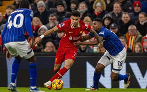 Nhận định, soi tỷ lệ PSV vs Liverpool 03h00 hôm nay 30/1, Cúp C1 châu Âu