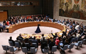 Hội đồng Bảo an LHQ thay 5 nước ủy viên mới