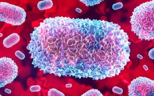 Pháp phát hiện ca nhiễm biến thể mới của virus đậu mùa khỉ