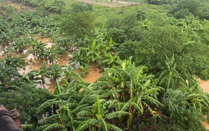 Cảnh báo sắp có mưa lớn ở nội thành Hà Nội, lũ khẩn cấp trên sông Thao