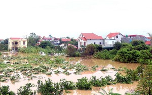 Tấm lòng người dân Hưng Yên gửi tới đồng bào vùng lũ