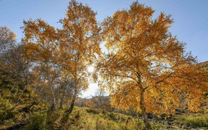 Chiêm ngưỡng cảnh đẹp mùa thu trên thế giới