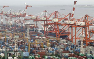 Kinh tế tư nhân trụ cột kiến tạo động lực tăng trưởng mới - Bài 4: Mô hình tham chiếu cho Việt Nam