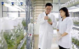 Nghị quyết số 57-NQ/TW: Kỳ vọng tăng trưởng từ đột phá chiến lược