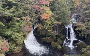 Nikko vào Thu - Khi những tán lá dần nhuộm sắc vàng, đỏ