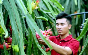 Họp báo Đại hội Đảng bộ Chính phủ: Quyết tâm đạt tăng trưởng hai con số trong nhiệm kỳ 2026–2030